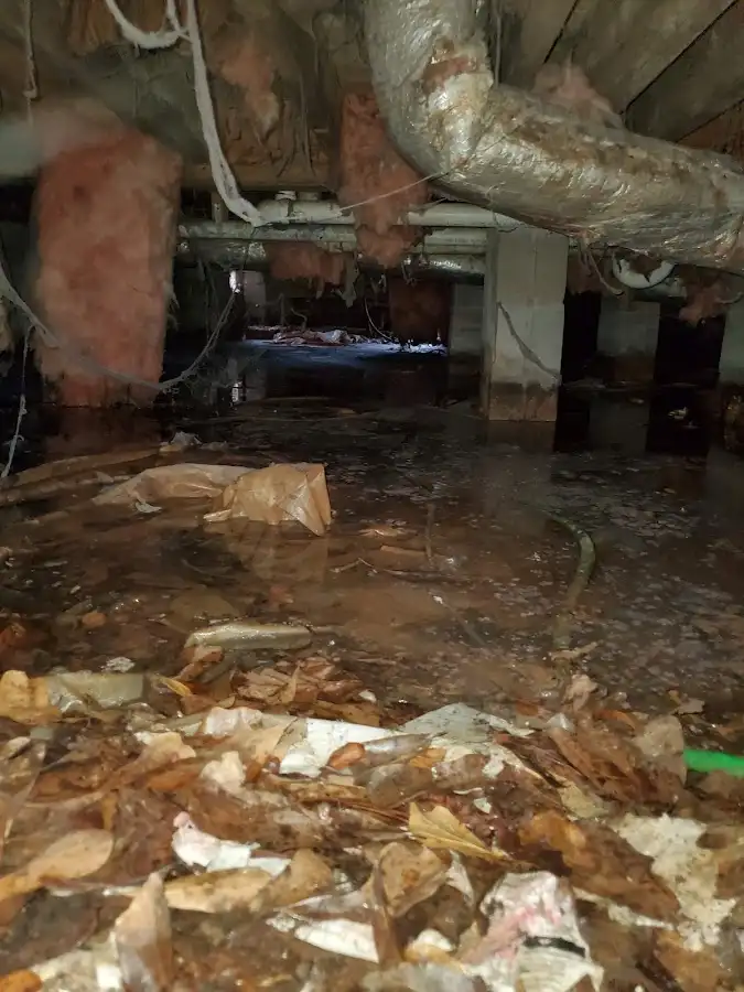 Crawl space flood assessment for Leak Detection & Repair in Kosciusko